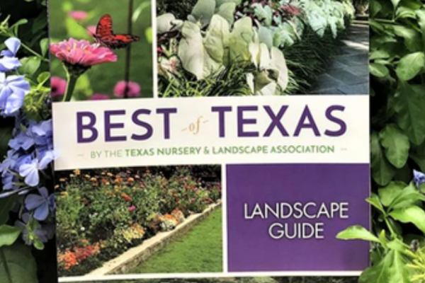 What Is The Best Of Texas Landscape, Best Texas Landscape Plants